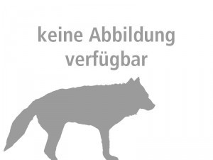 www.grauwolf.net